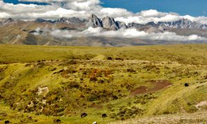 Liquid Spark Foundation - Tibet Kham Mountains
