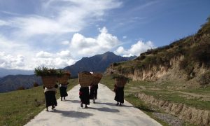 Tibet Village Women in Amdo
